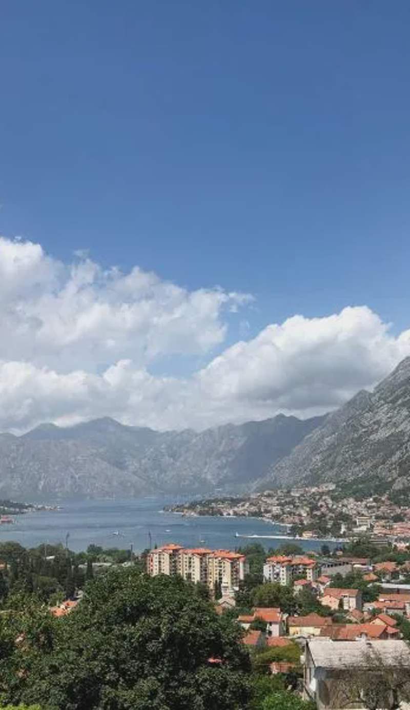 Apartman Savo