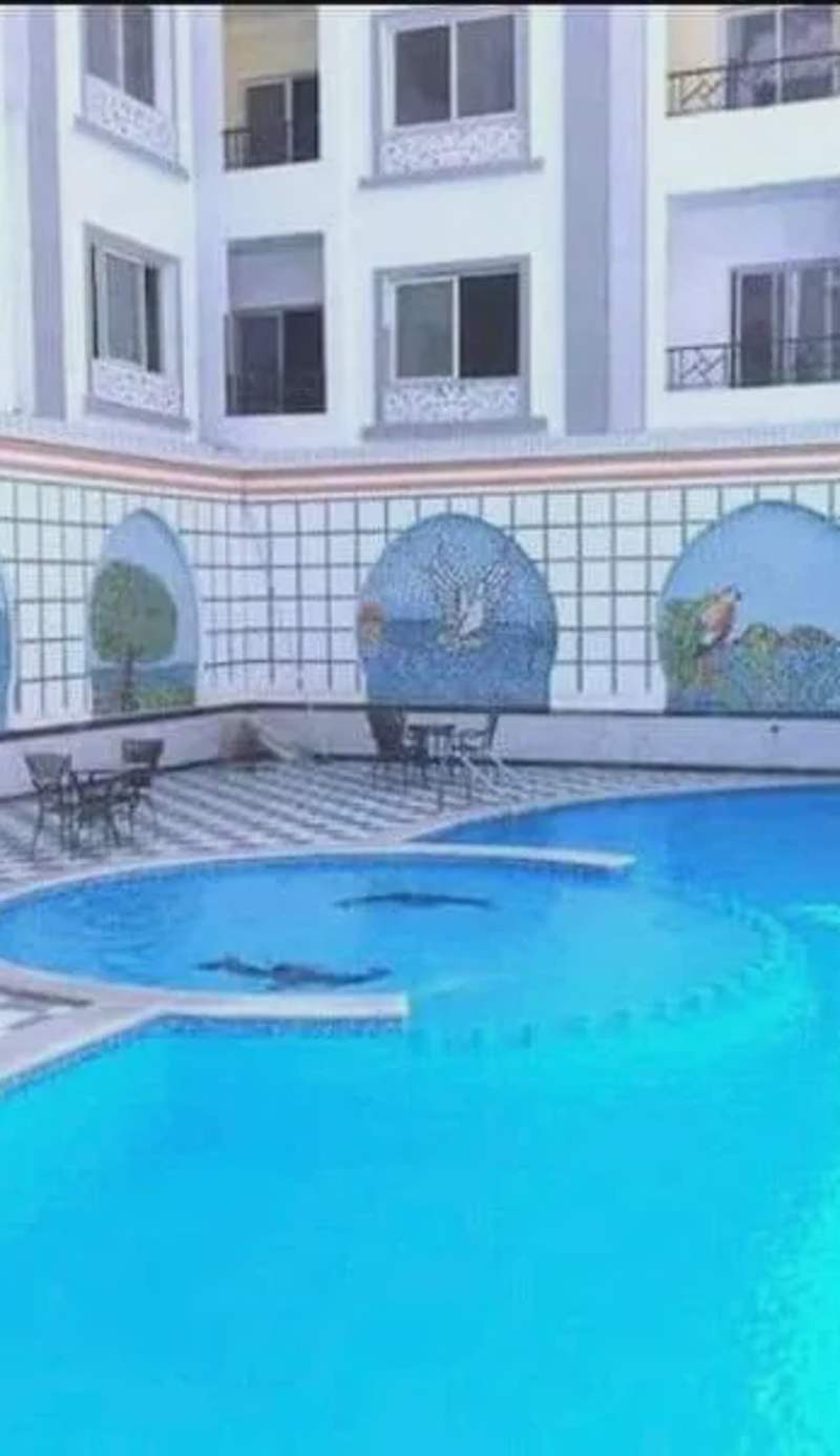 شقة ٢ غرفة