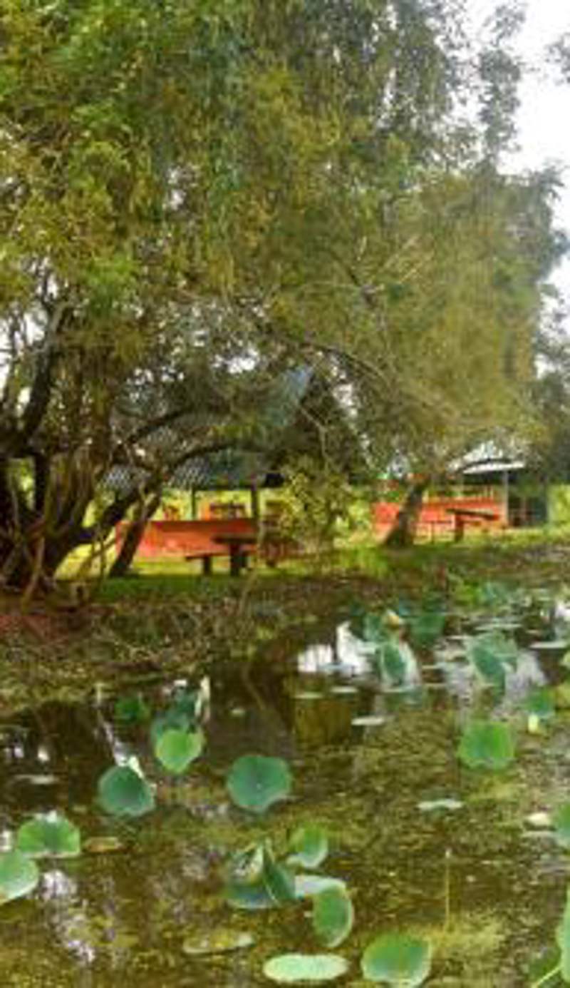 Meegahapokuna Resort