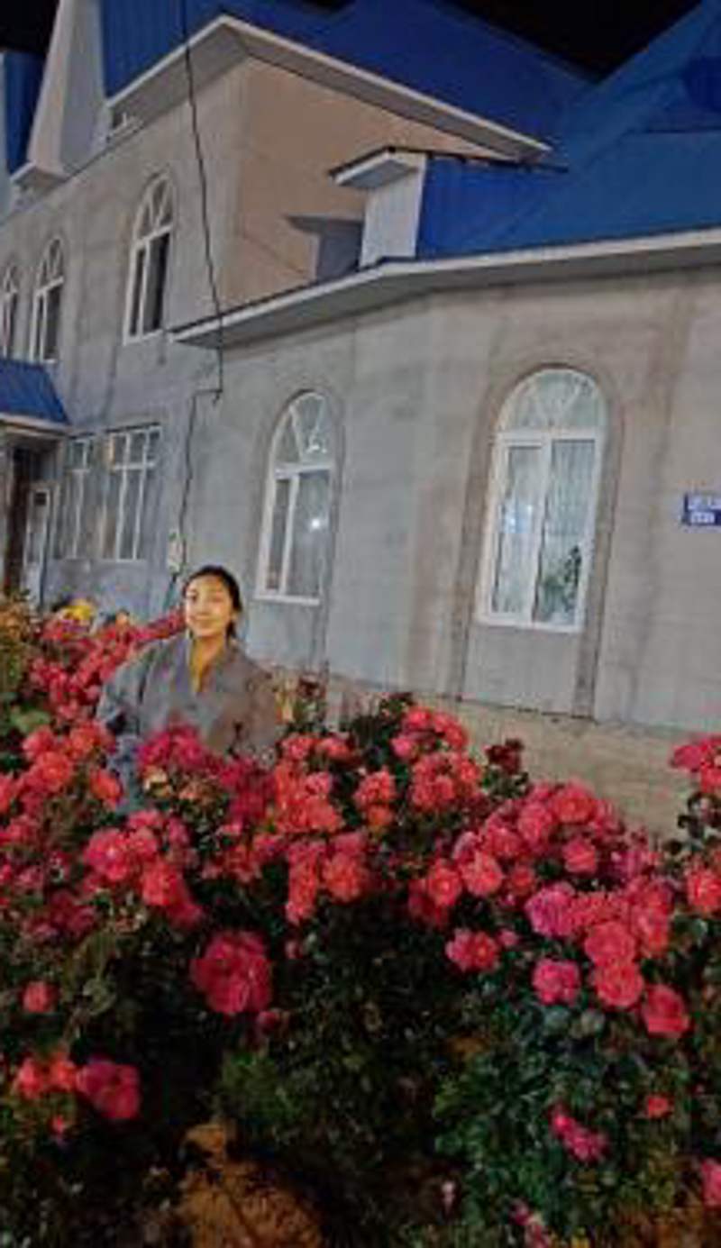 GuestHouse "ERKIN"