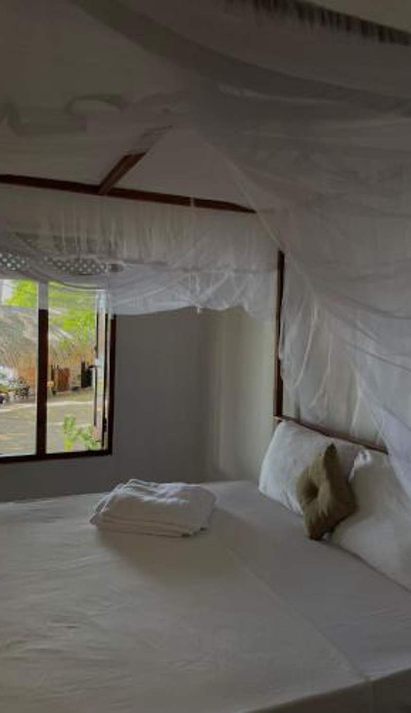 Ocean Vibe Srilanka