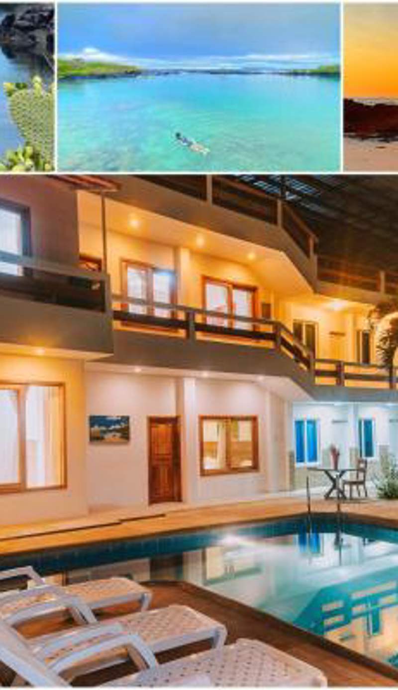 Galápagos Isabela Hotel Loja