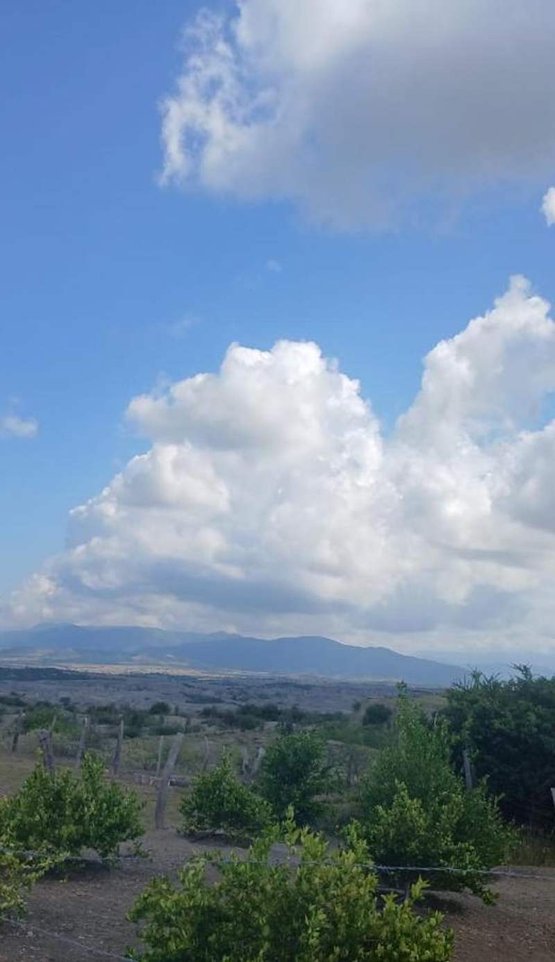 Payande - Tatacoa