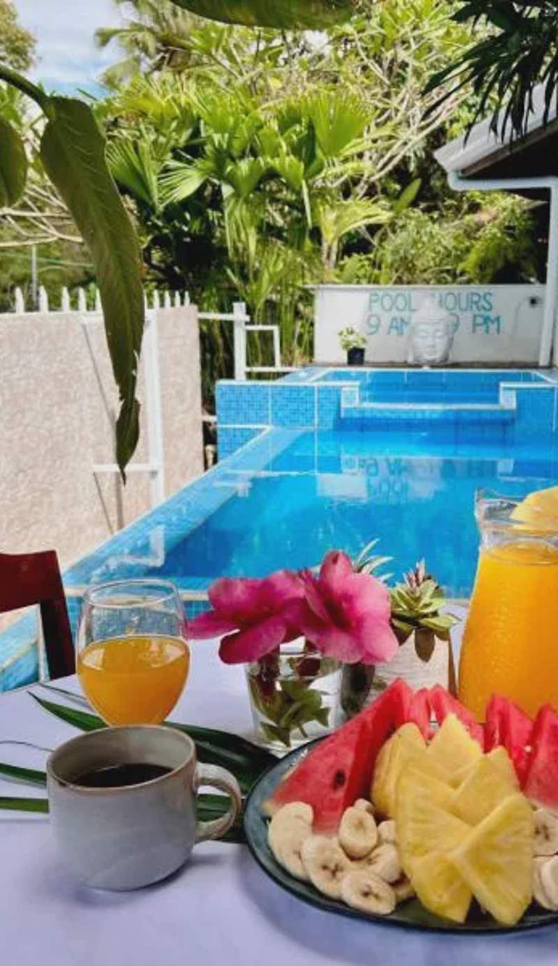 Kika Zaru Free MA Park Tour & Breakfast