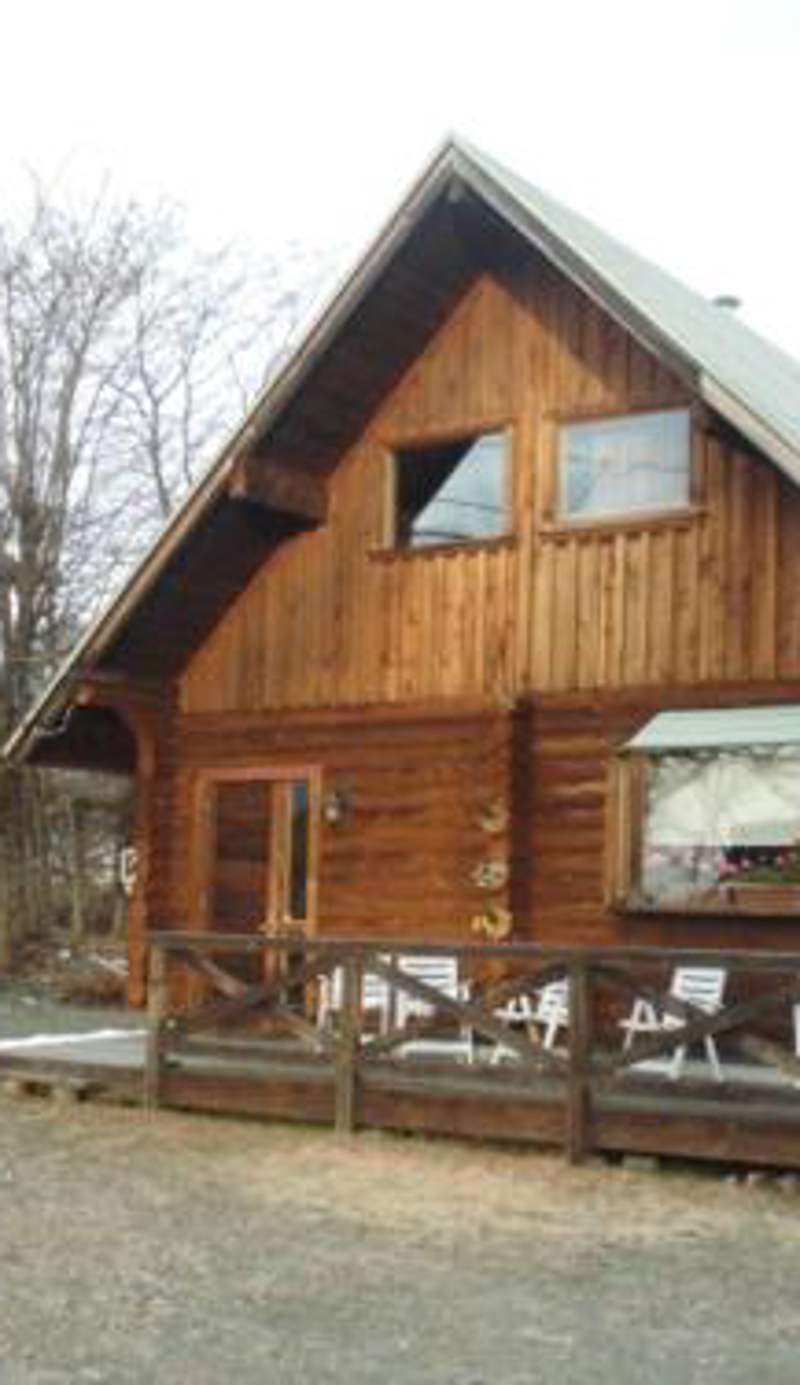 Log Cottage Villa Happo