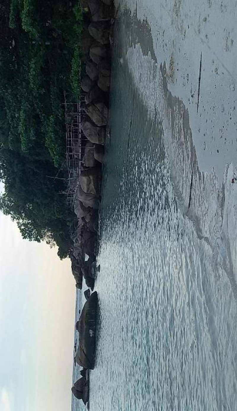 Lipe Banyan Apartments