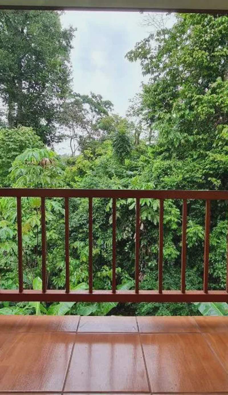 Ceiba lodge
