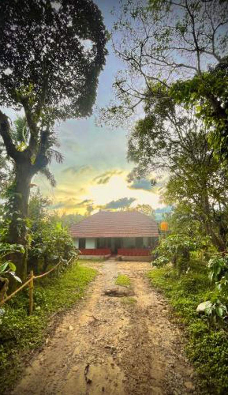 TauSco Homestay & Campsite - Coorg