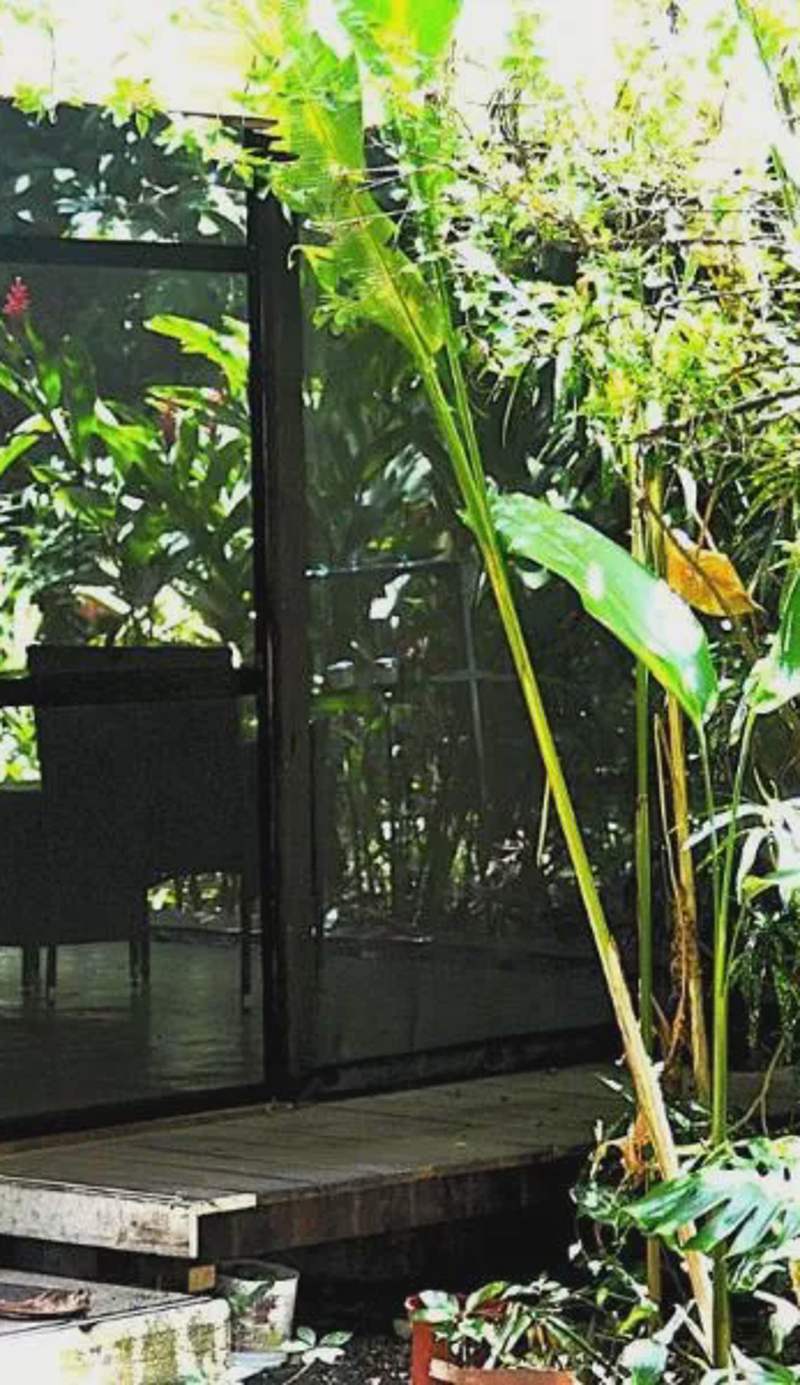 Jungle Like Oasis in San Ignacio - Secluded Cabaa Retreat Close To Mayan Ruins