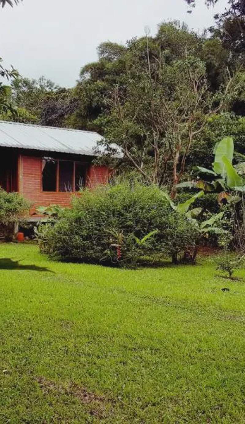 Bird Lover's House