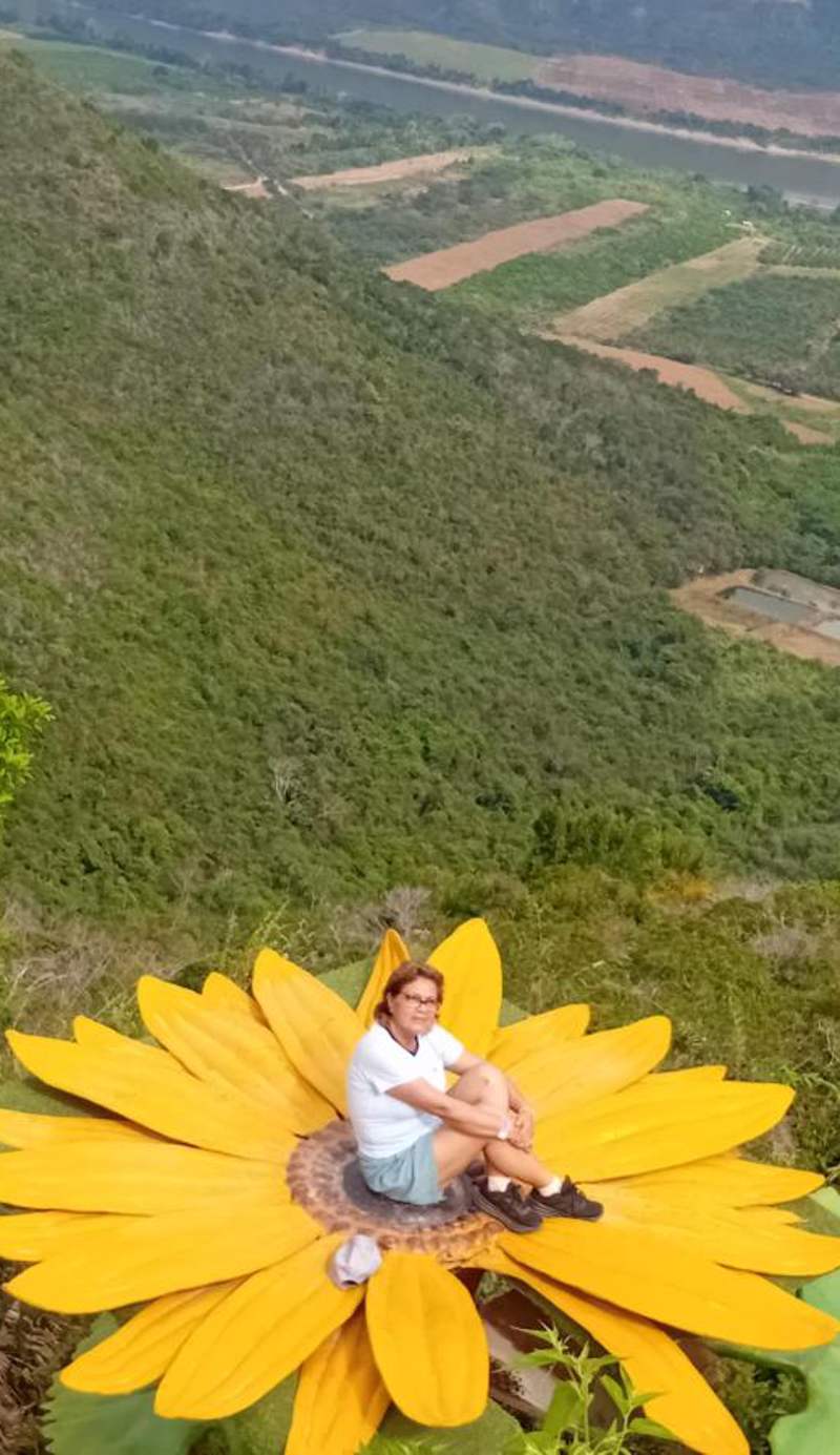 Alojamiento Familiar Villa Palmeras