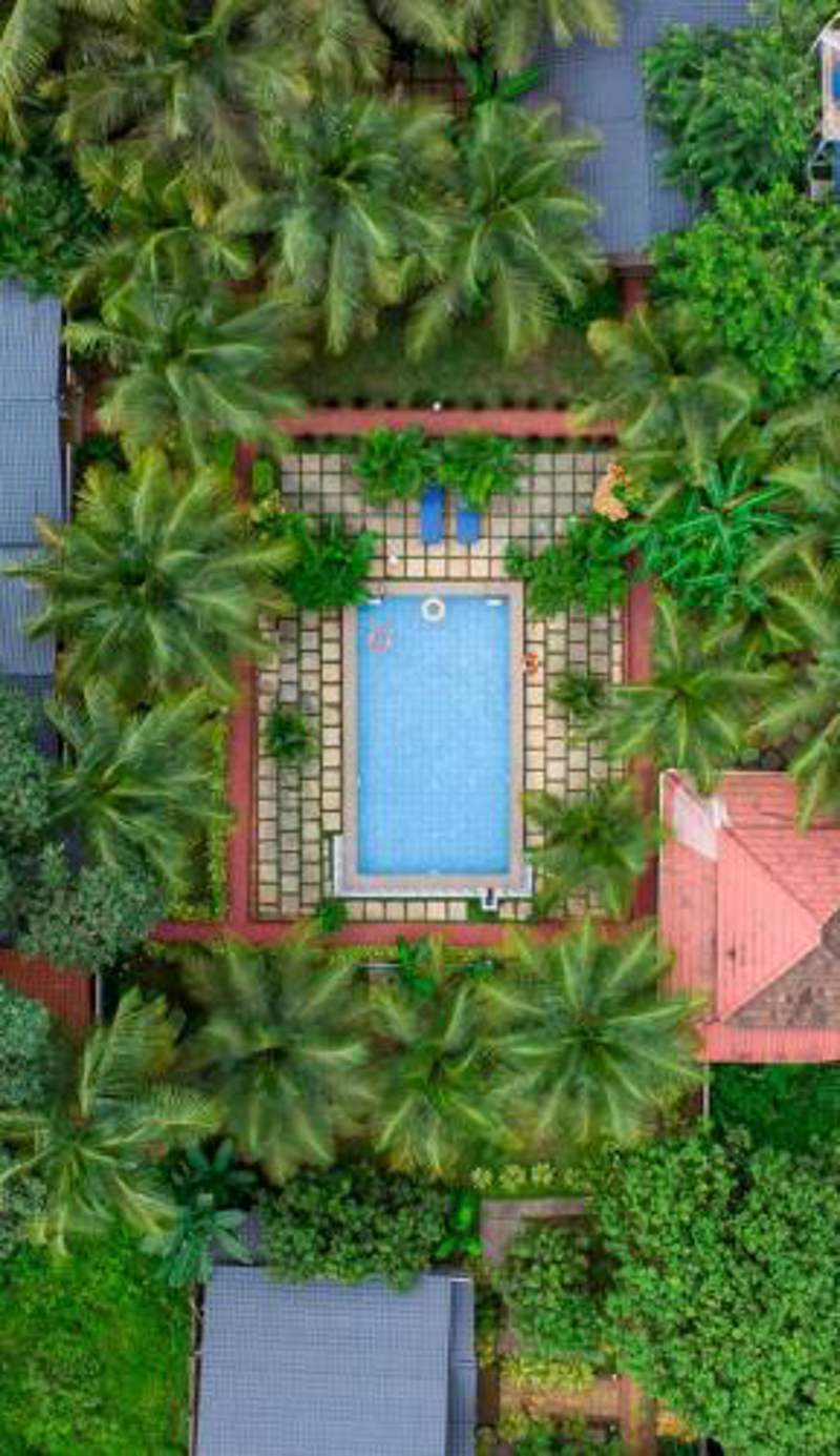 White Truffle Resort, Arambol
