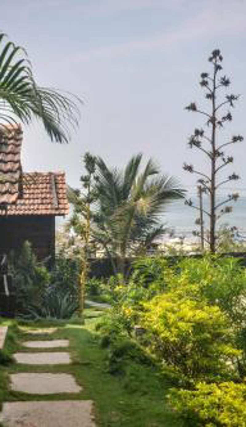Lotus Sutra Beachfront Resort