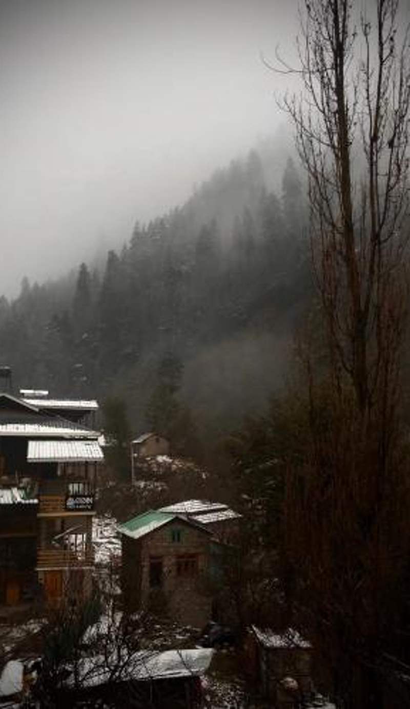 Odin Hostel Jibhi