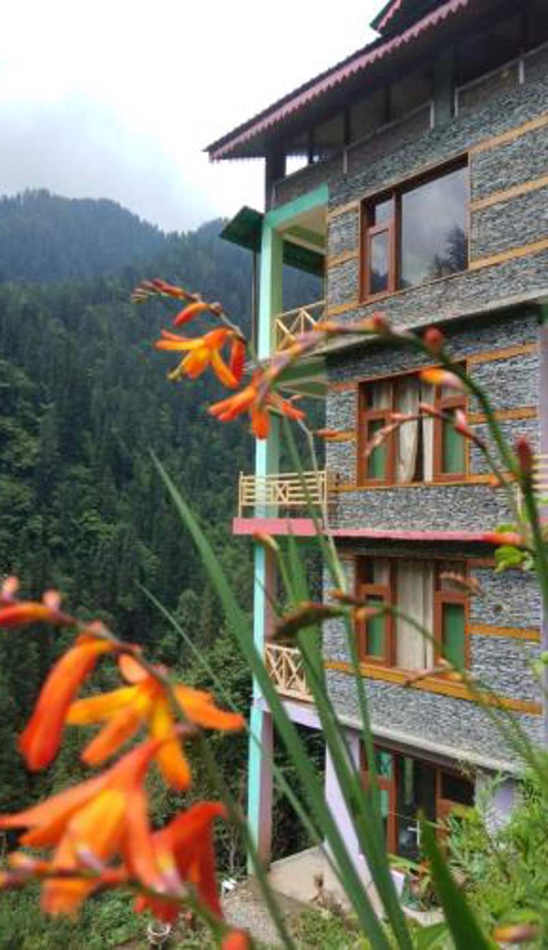 The Forest Pinnacle and Café, Jibhi