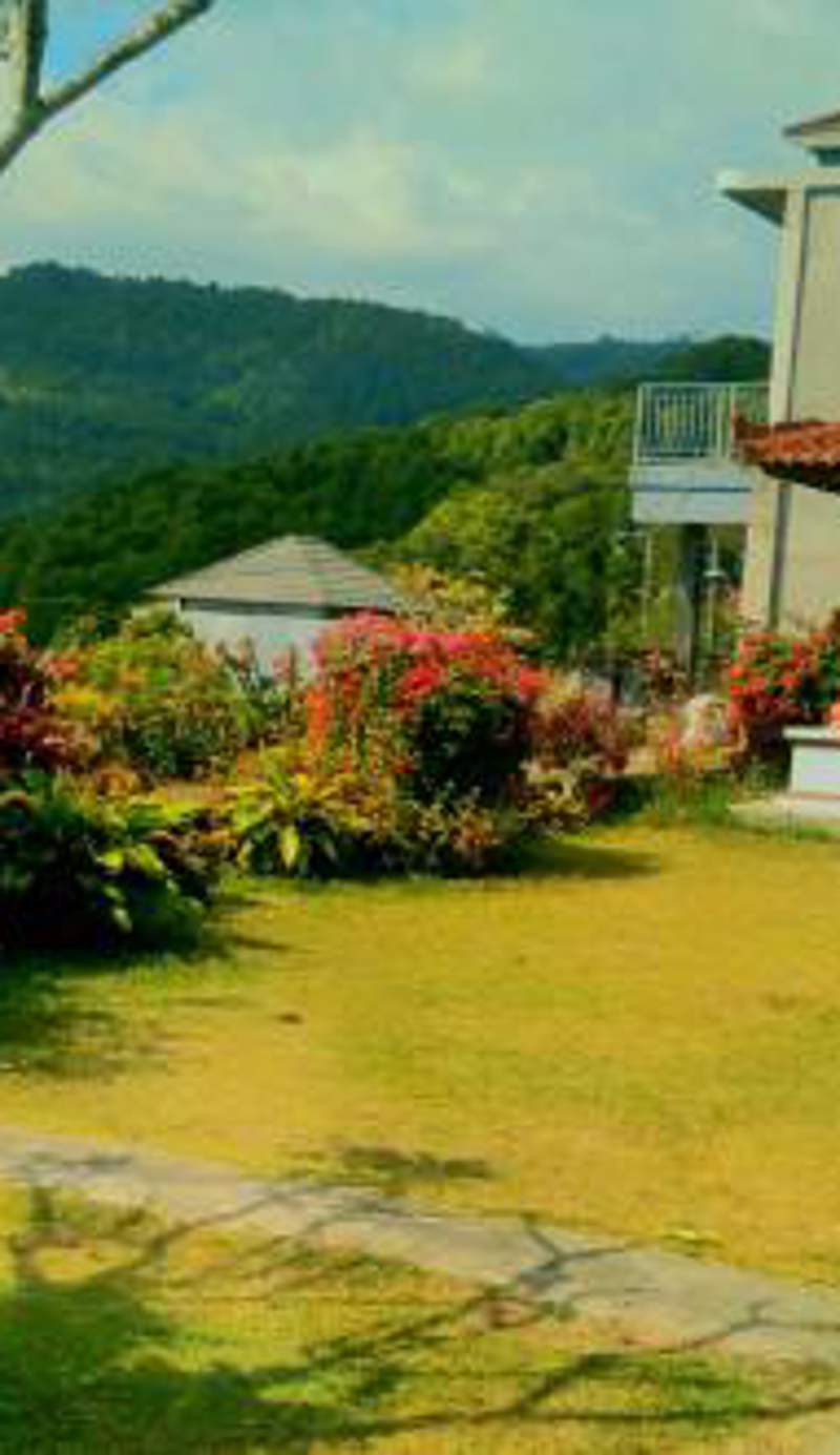 Bendesa Mas Homestay
