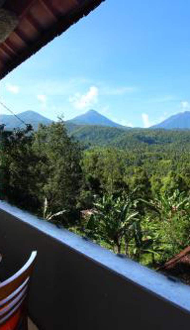 Edy Homestay
