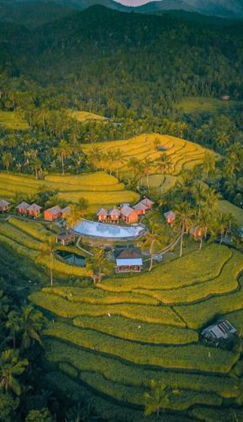 Puri Sunny Camp
