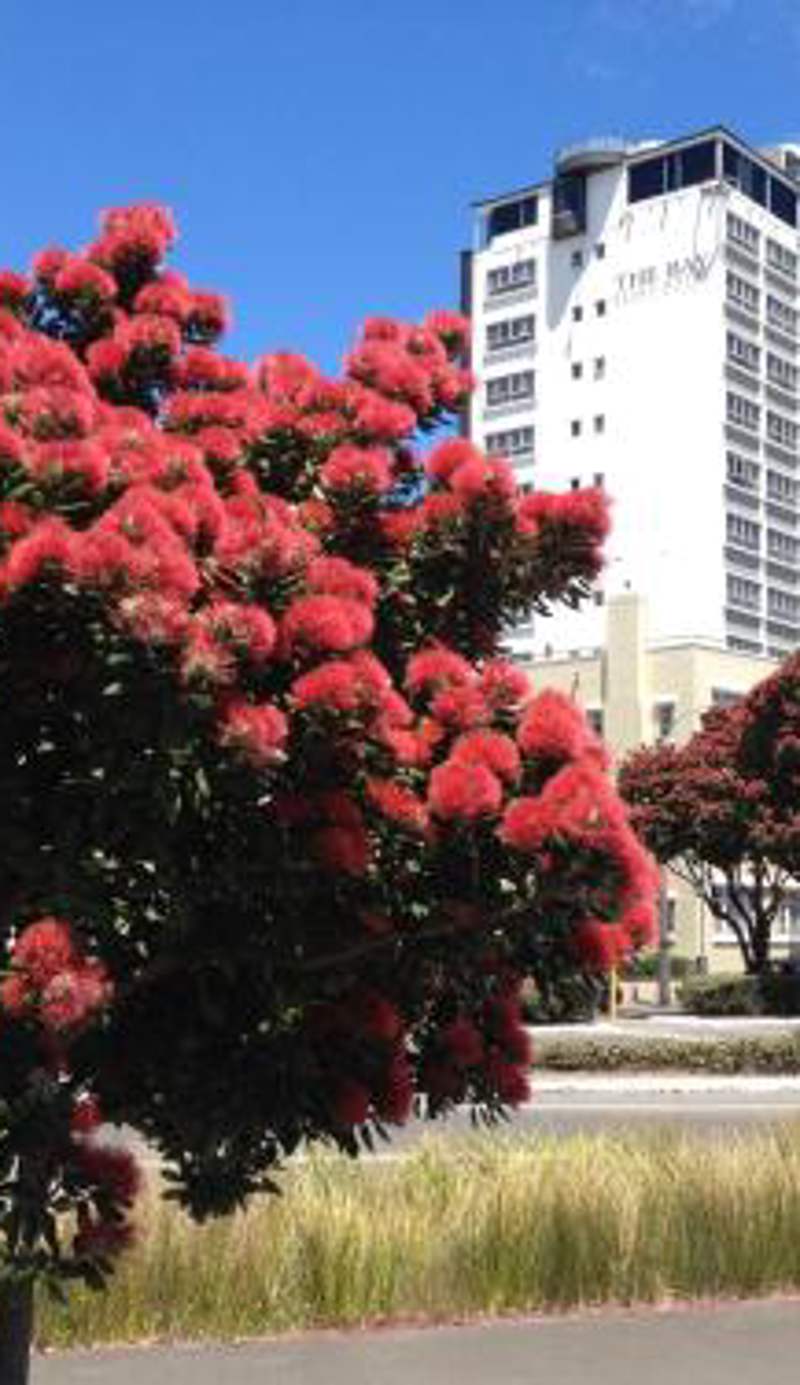 Bay Plaza Hotel