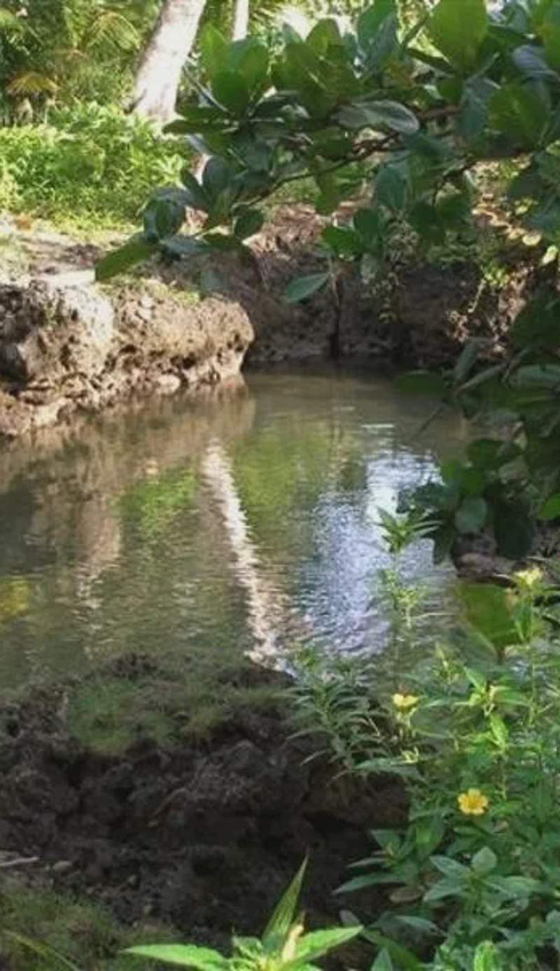 Piscina Natural on the Sea