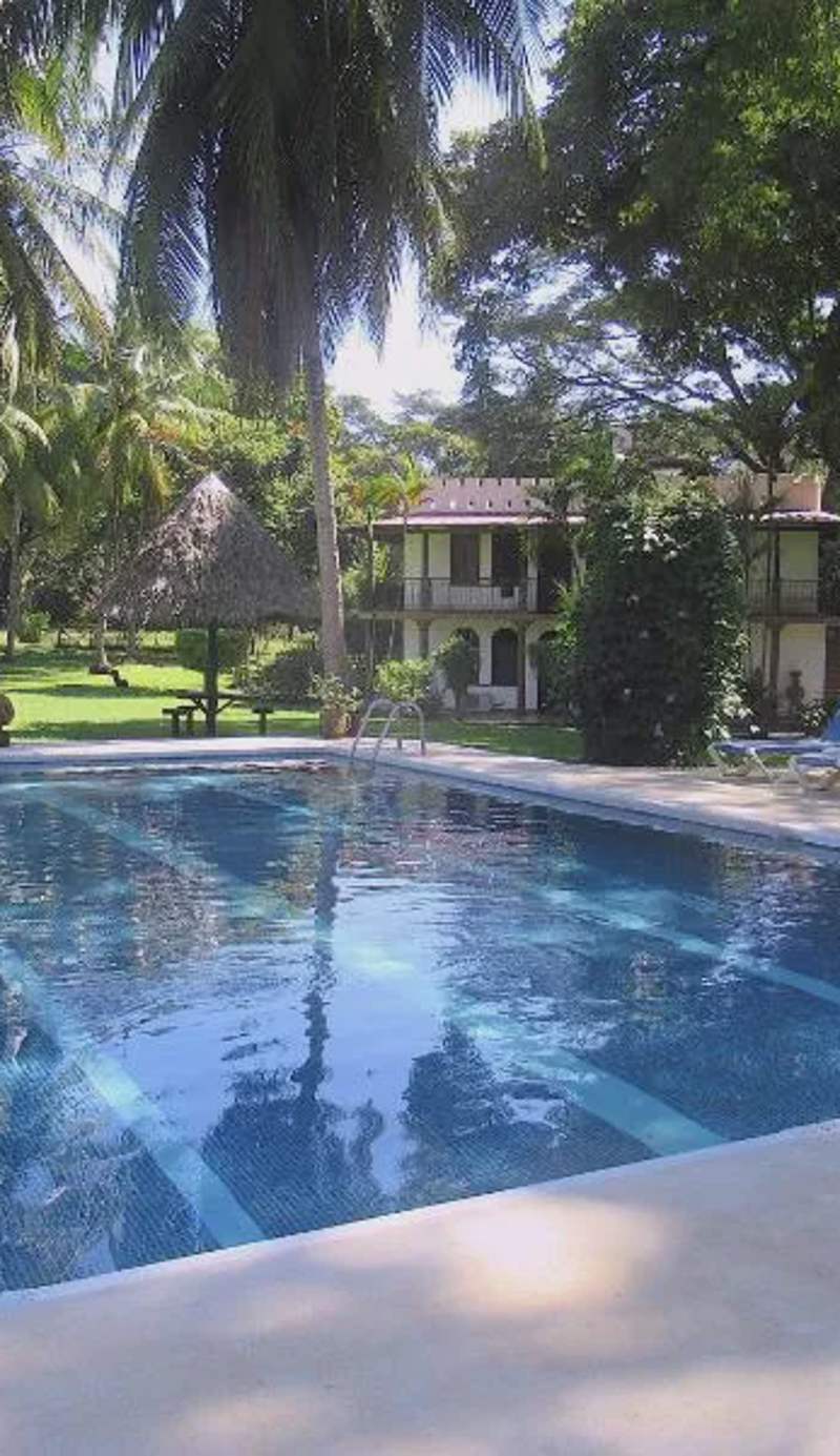 spirit of jungle lodge