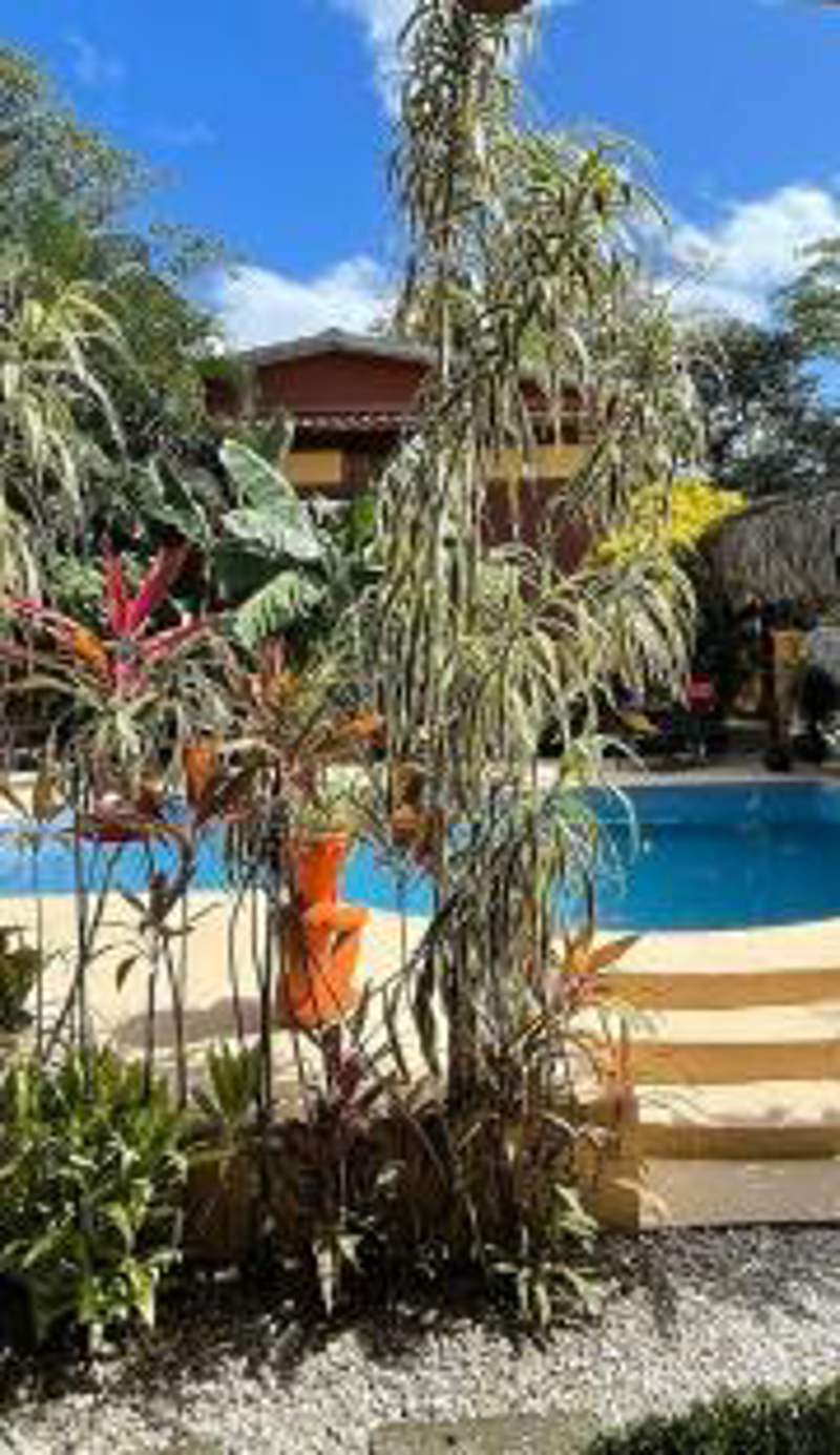 Samara Palm Lodge