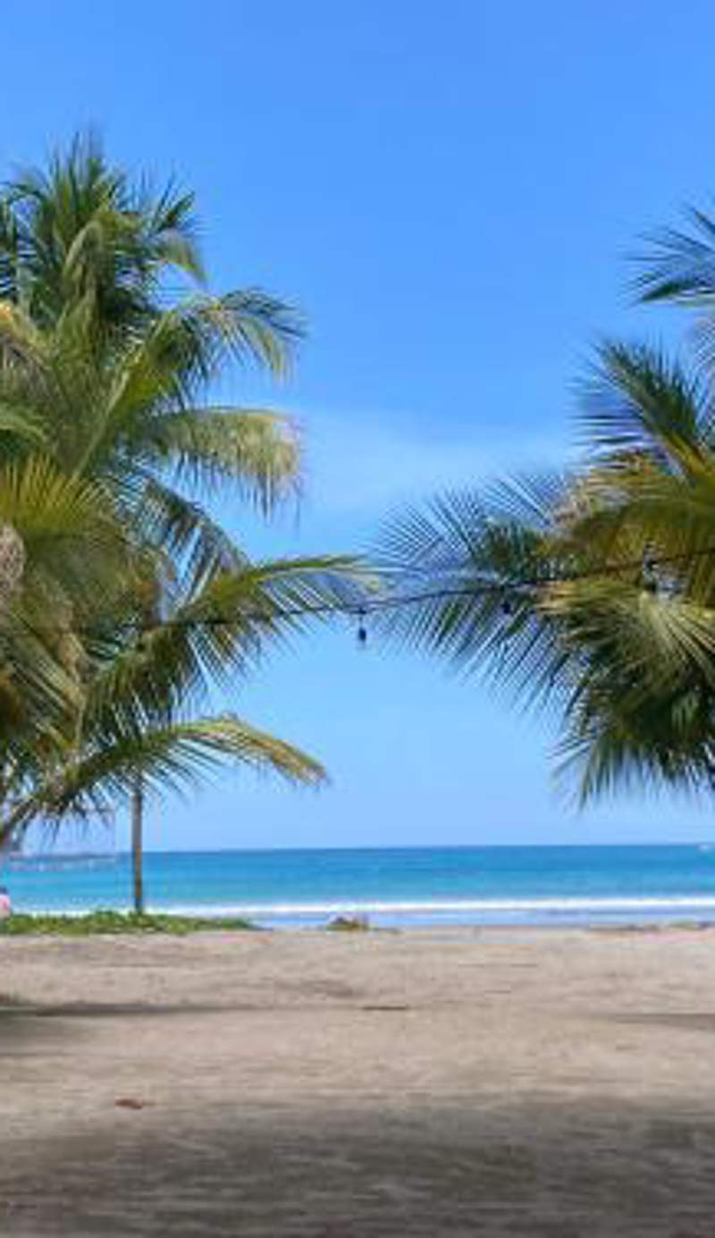 Samara Beach Las Palmeras Condo with Ocean view