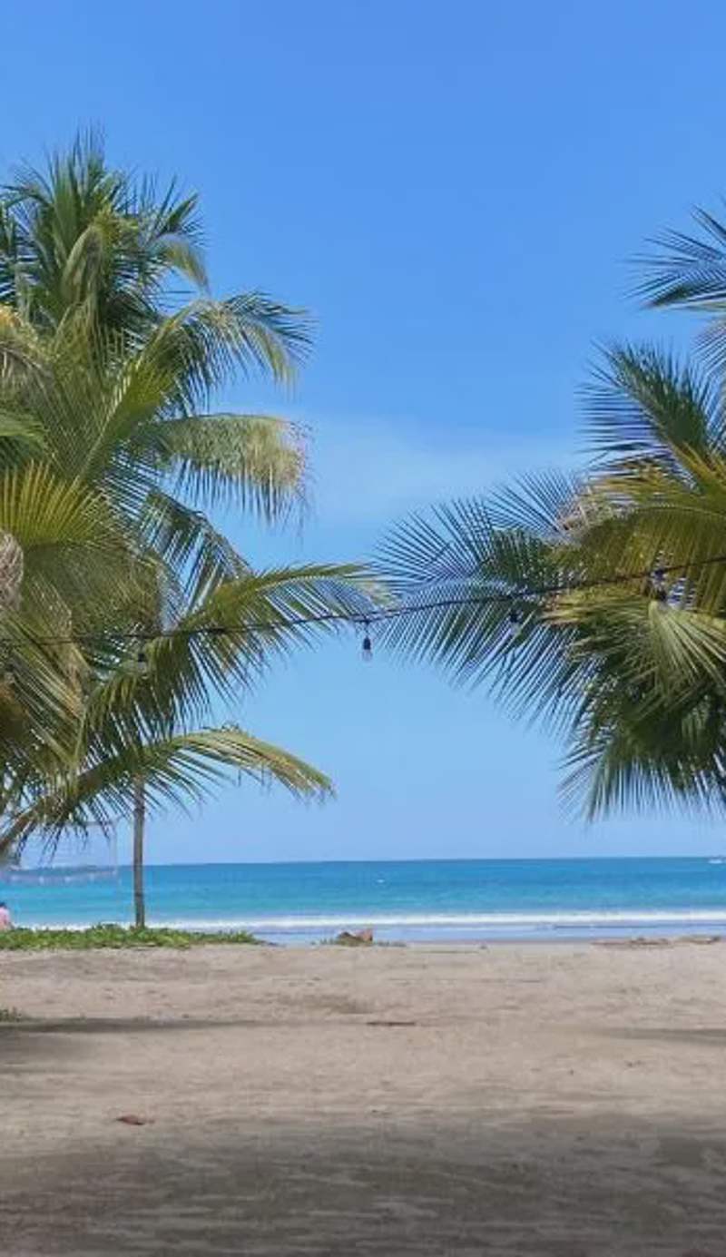 Samara Beach Las Palmeras Condo with Ocean view
