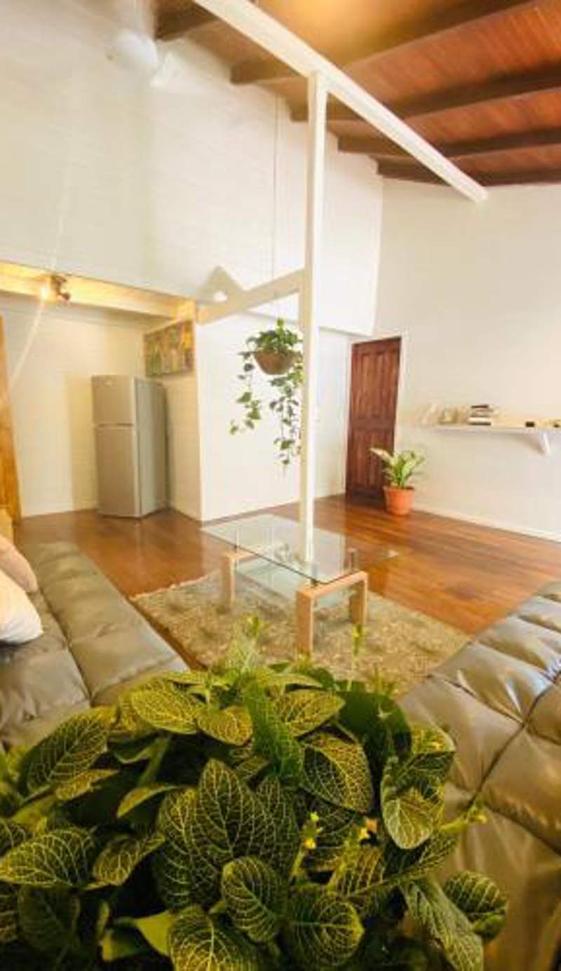 AmimodoBeachRooms