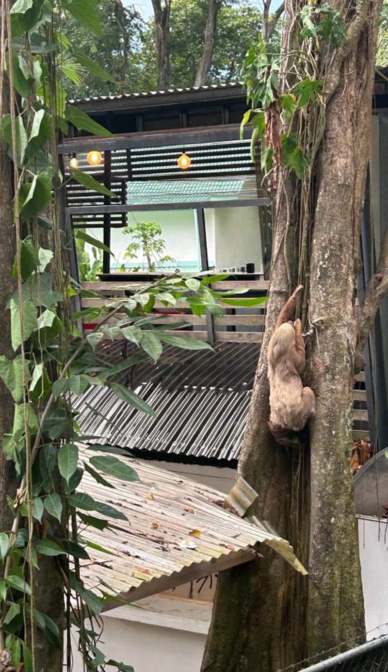 Cabinas Coconut Grove