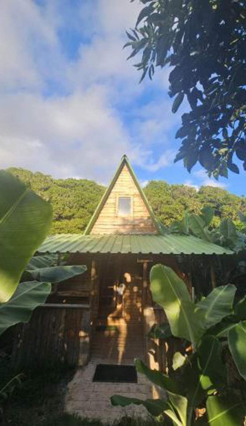 Banana Eco Camp
