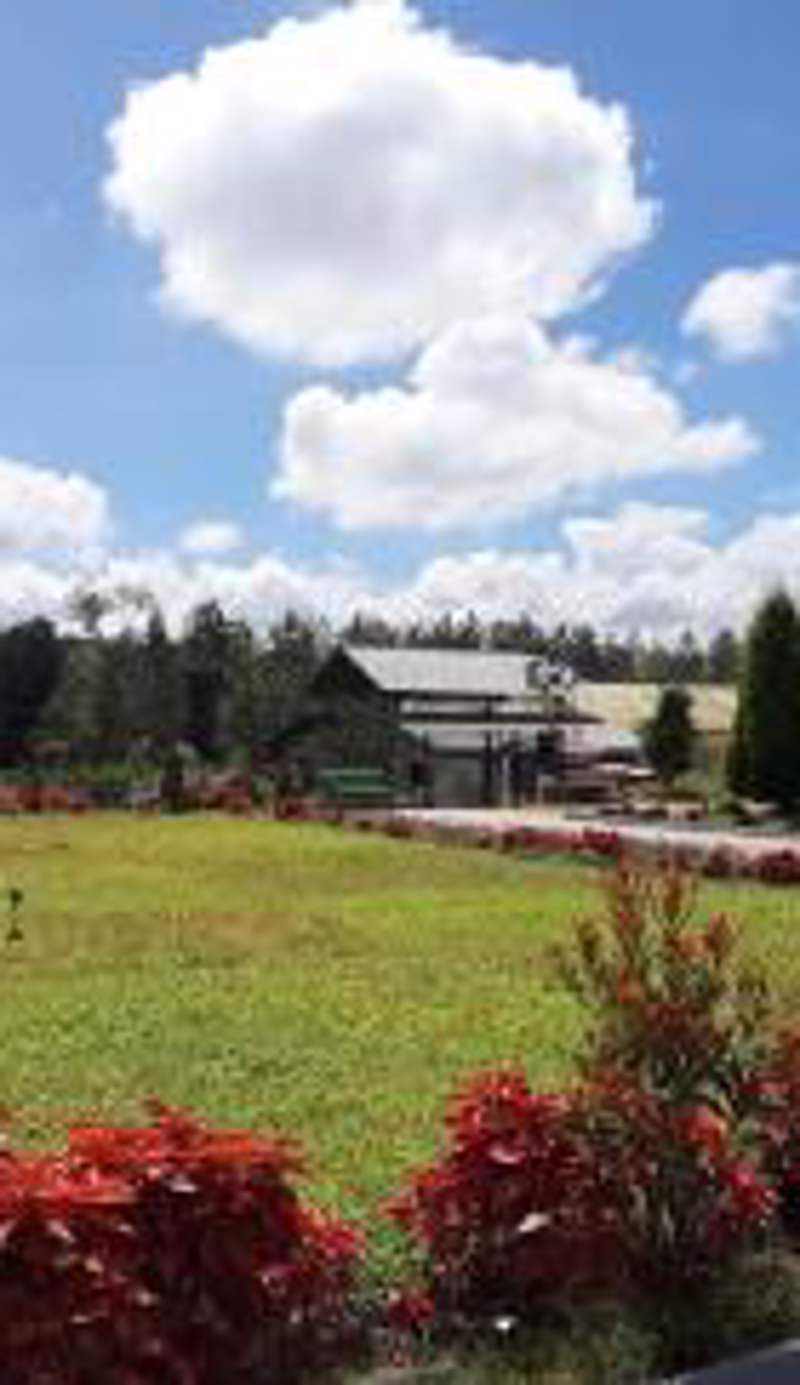 SilverShine Homestay