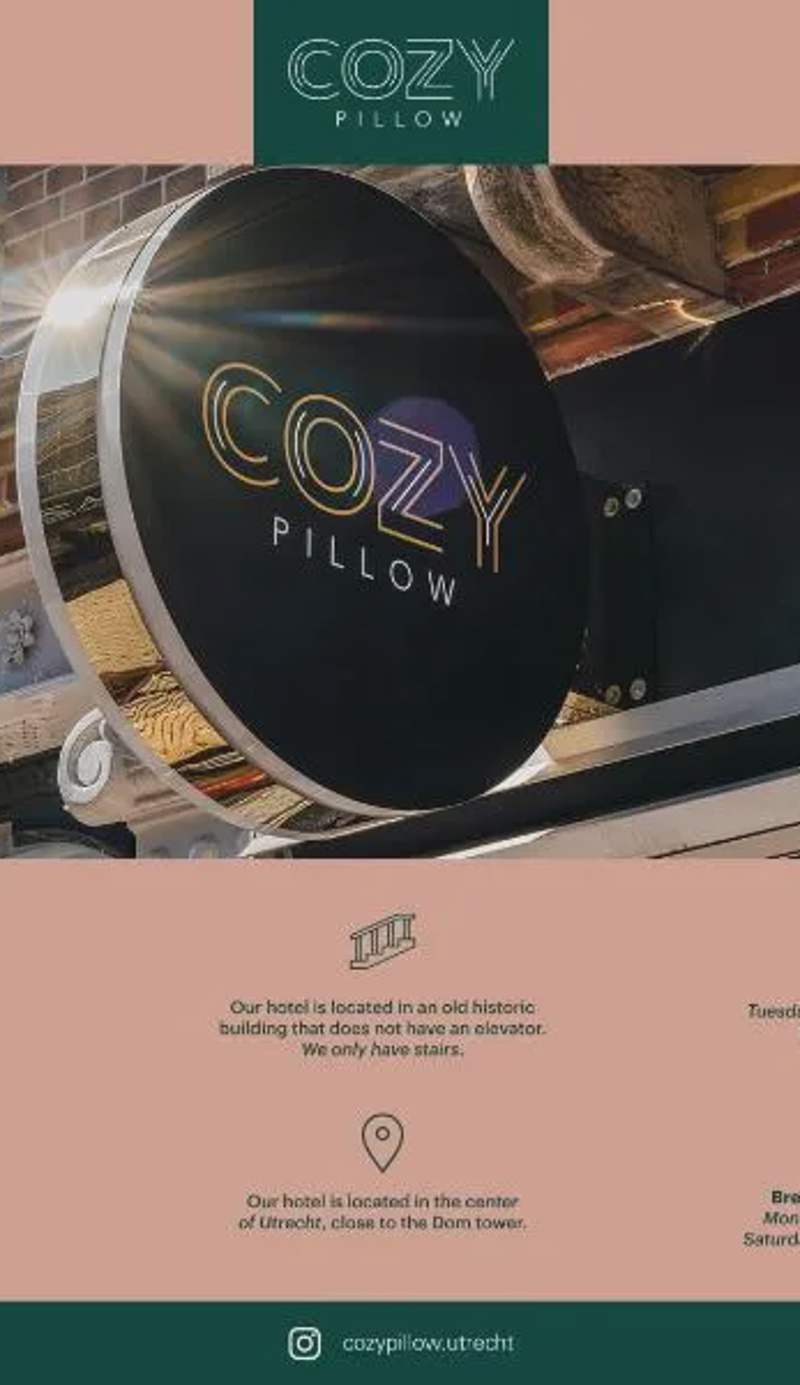 Cozy Pillow