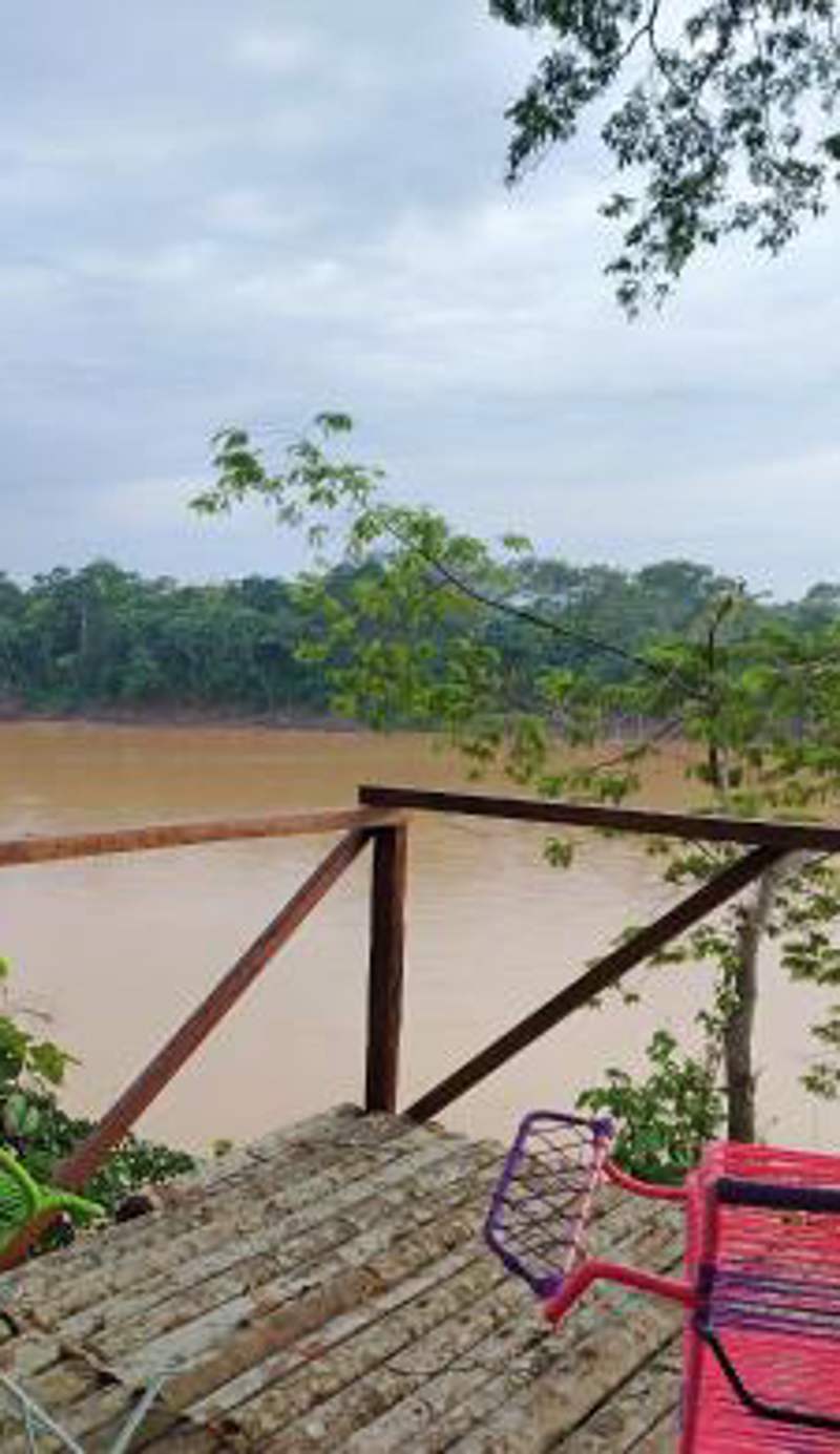 Musas Garden Lodge Tambopata