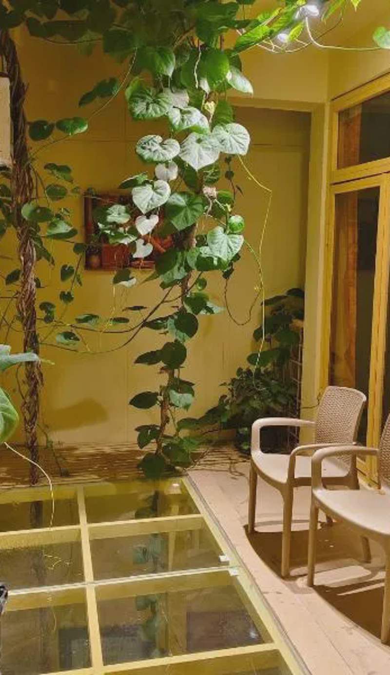 Devi music ashram