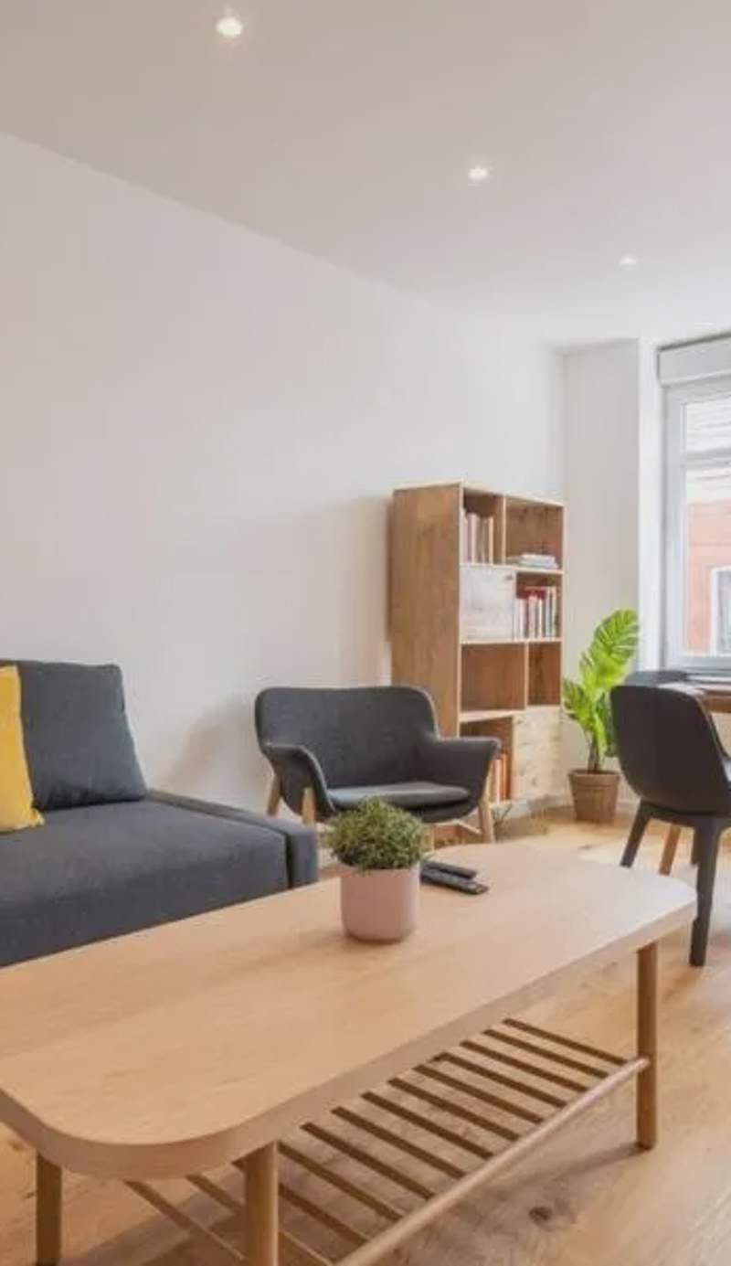 Lille center equipped and bright apartment