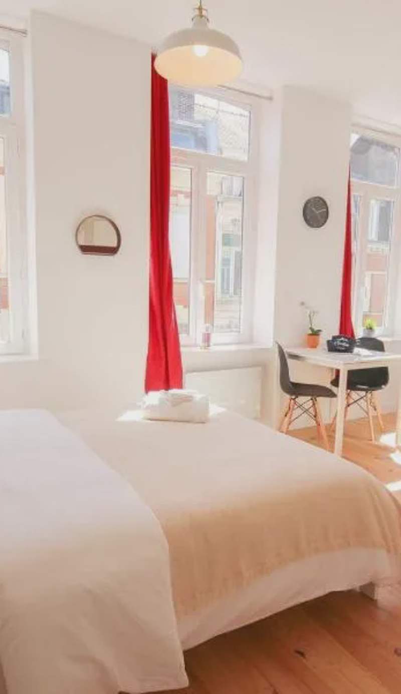 Lille centre- Nice and bright equipped studio