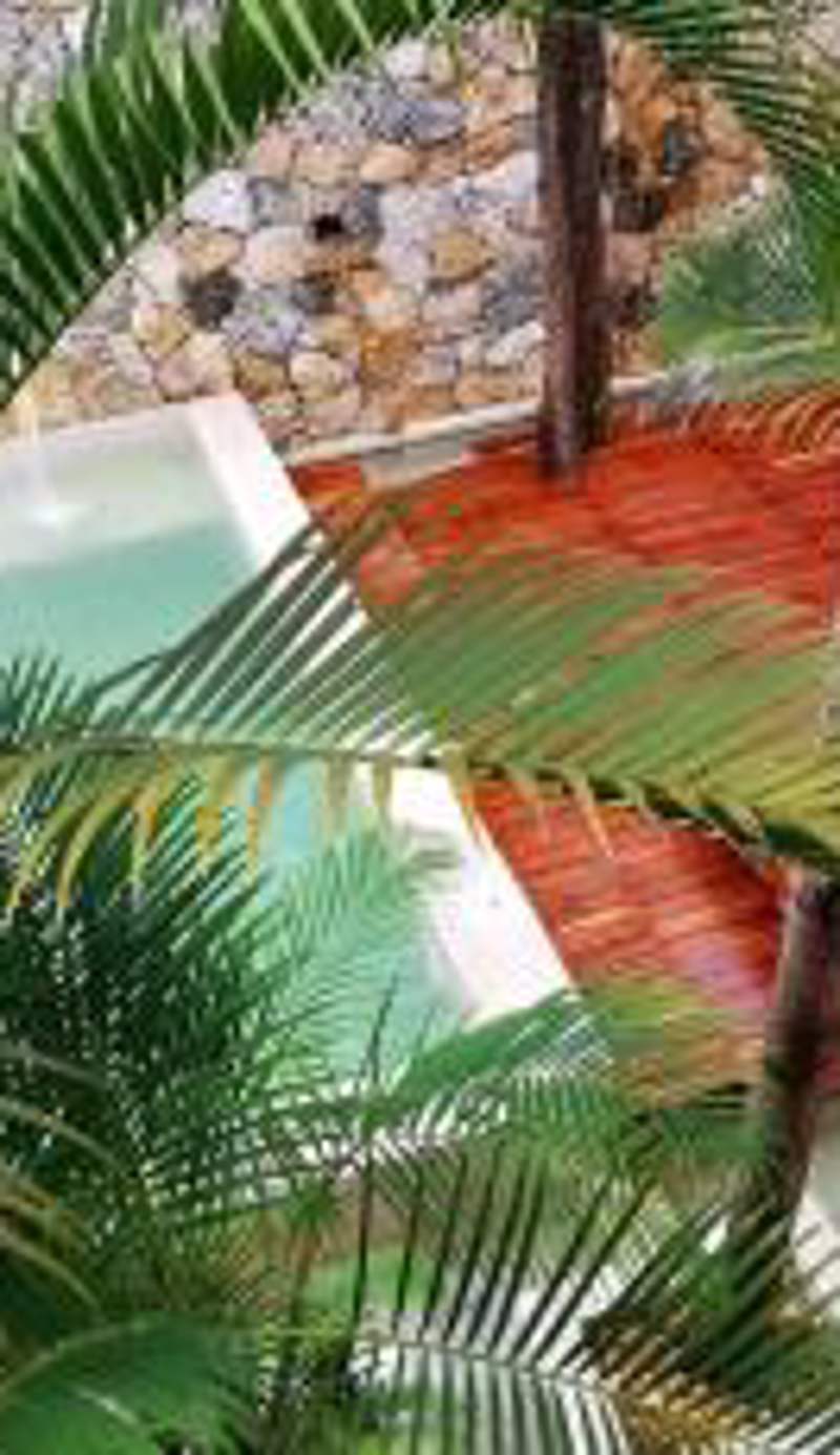 Hotel Casa Bamboo