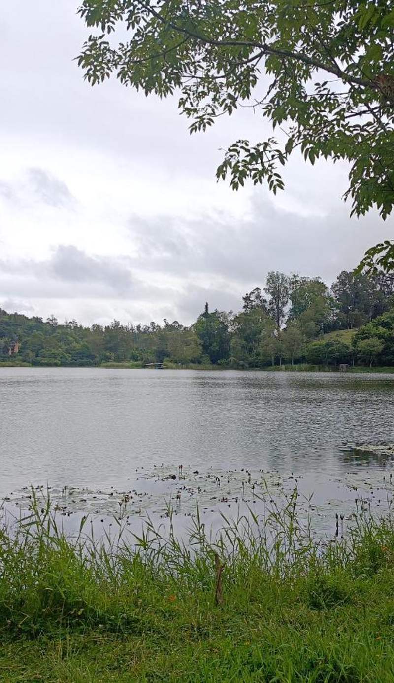 Cucuate Hospedaje