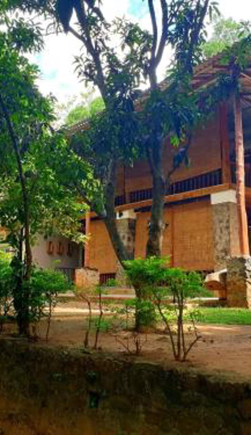 Jungle House