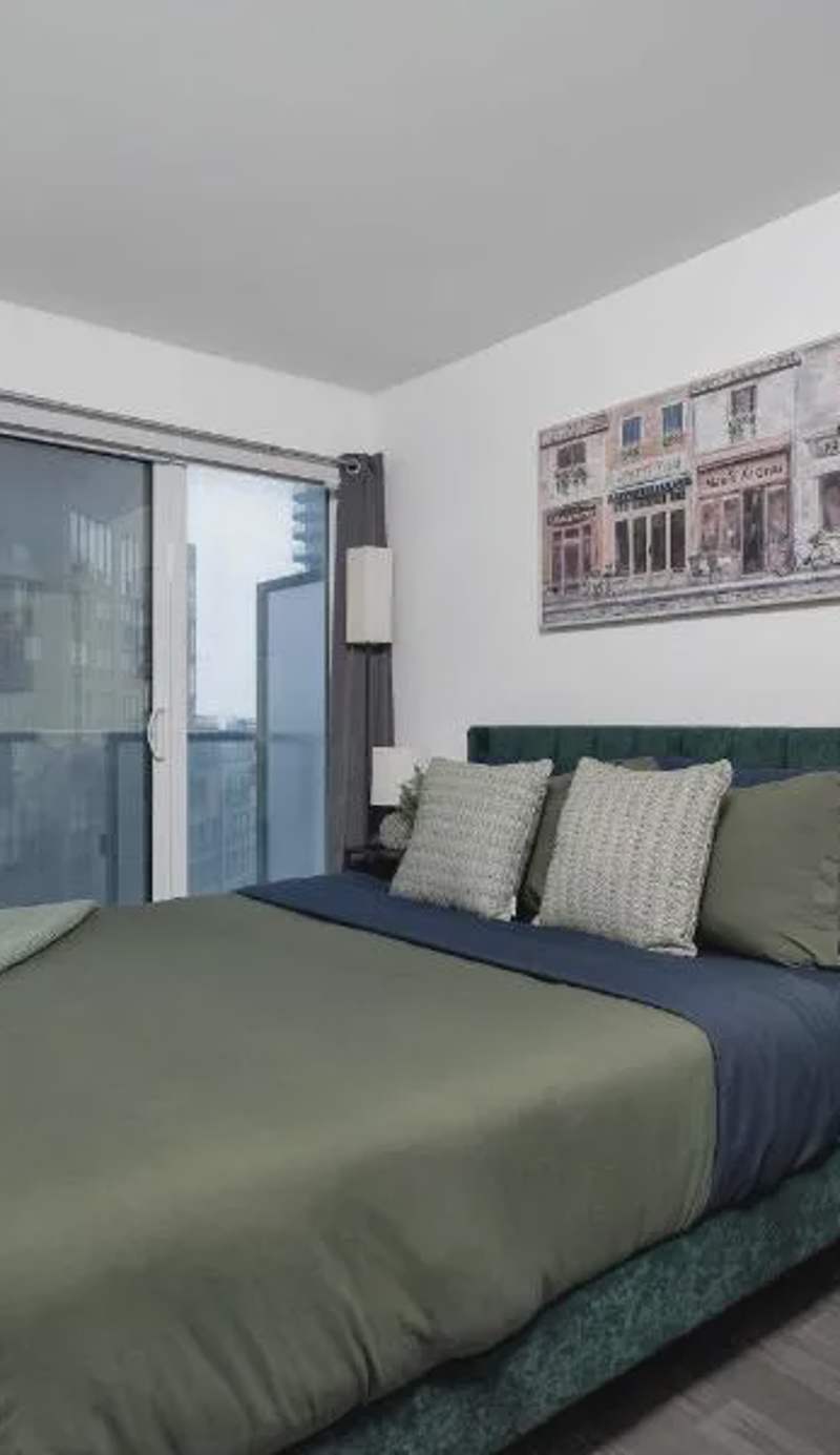 Pleasant 1BR Sofa Bed Close to UofT