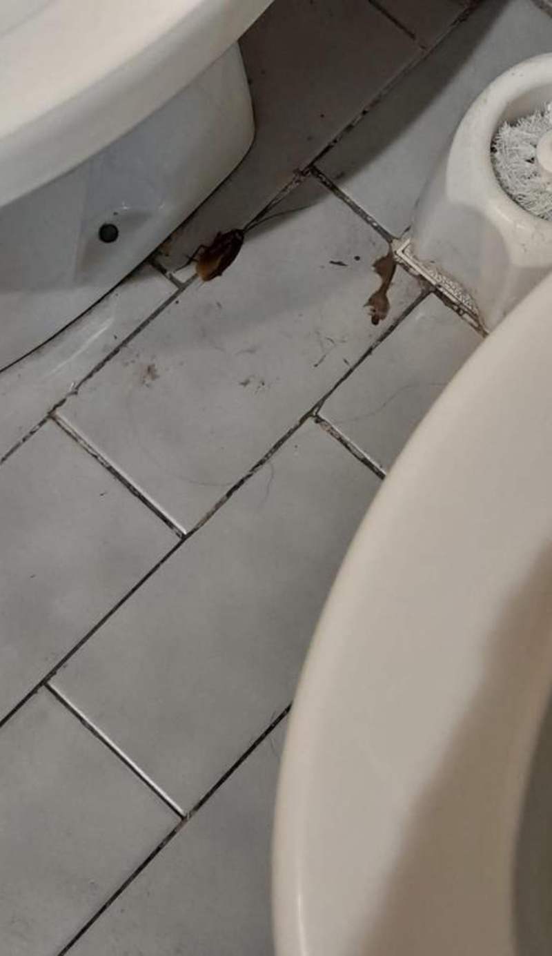 Céntrico, Confortable y Cómodo