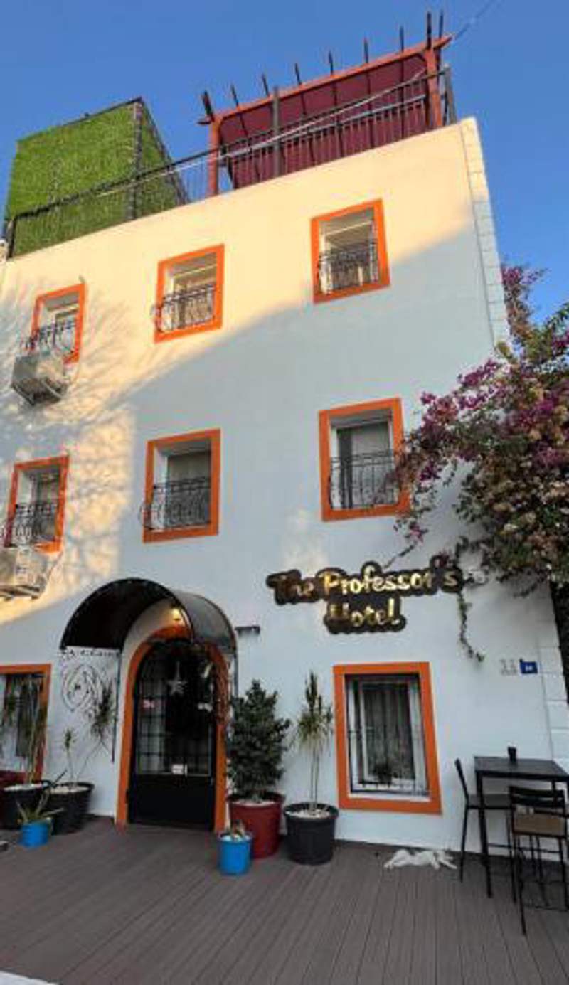 The Professor's Hotel