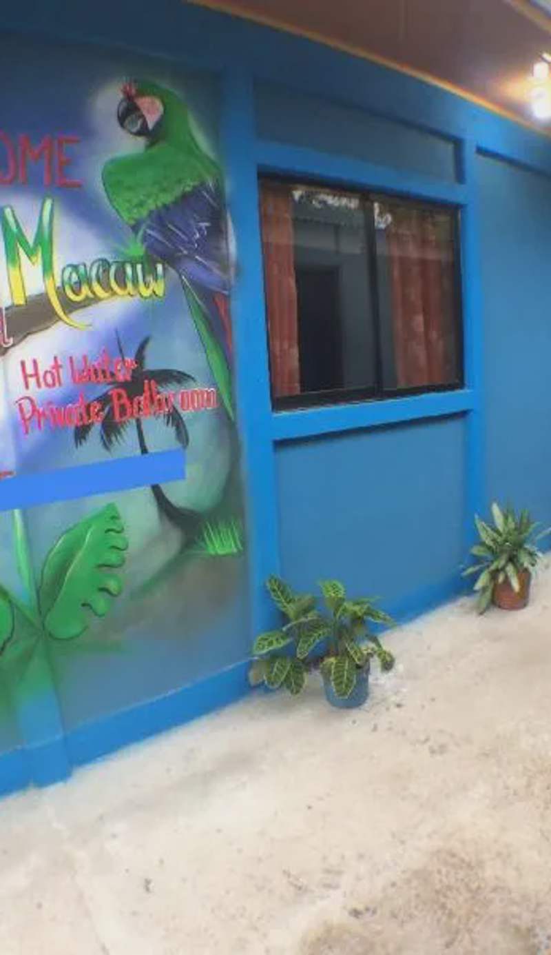 Green Macaw Hostel
