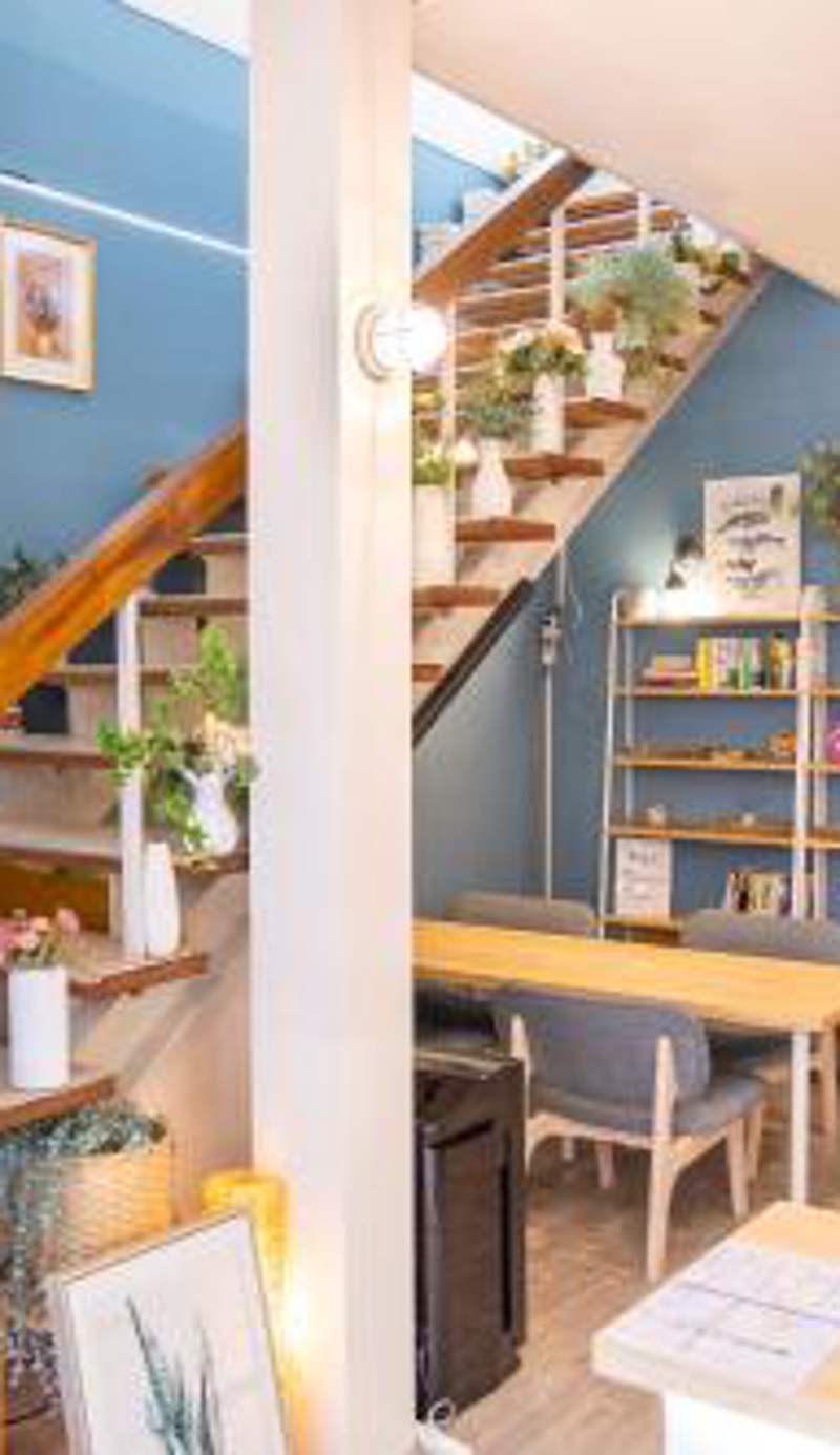 Comfy Stay Sarusawaike
