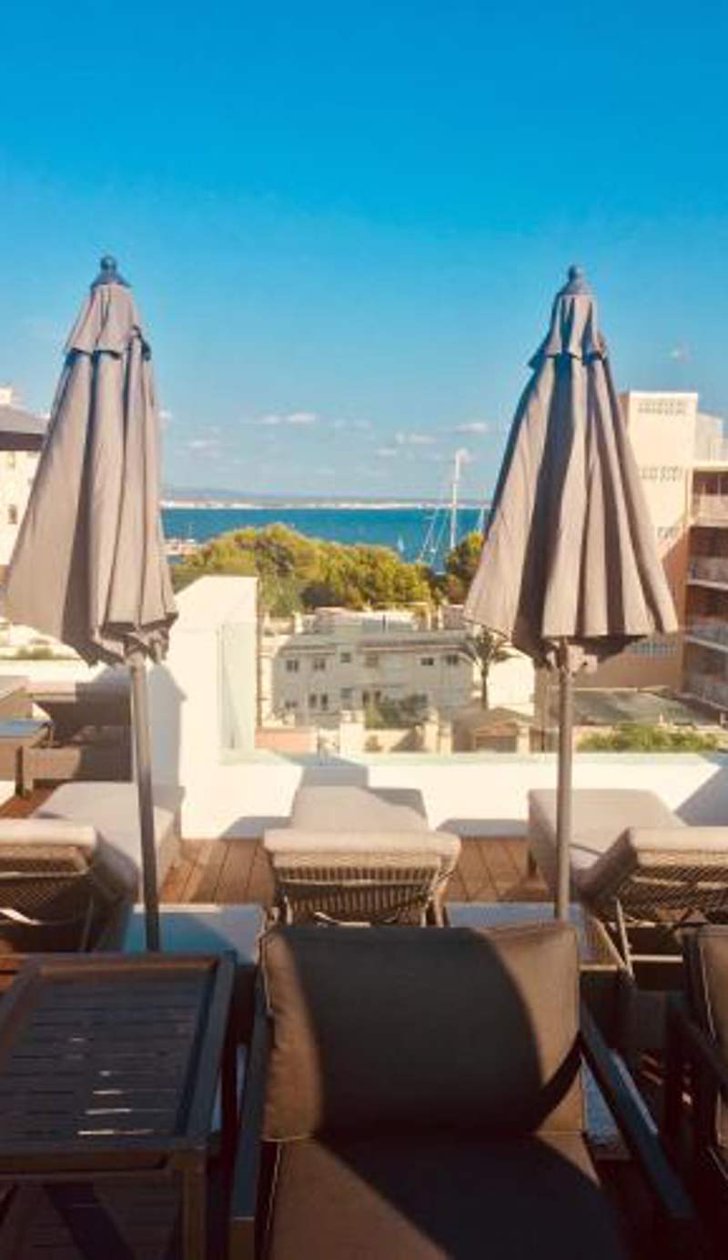 Terreno Suites