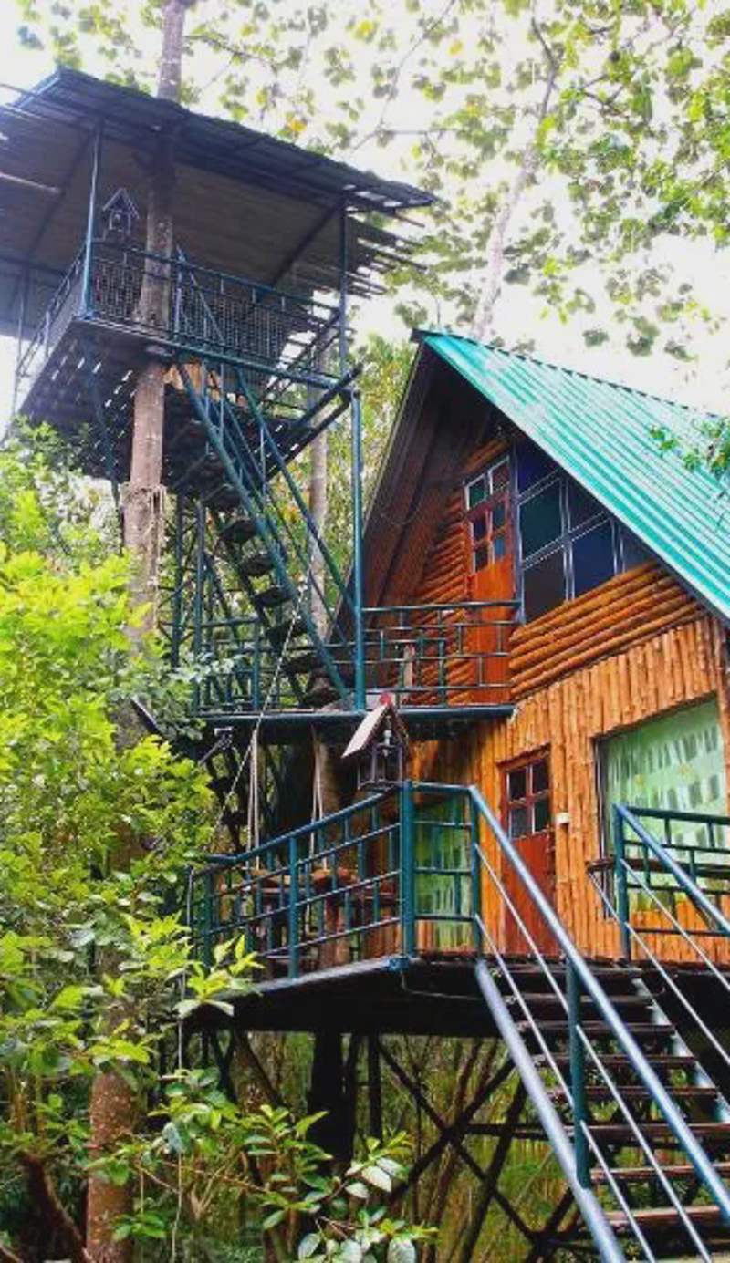 Khao Sok Tree House Resort