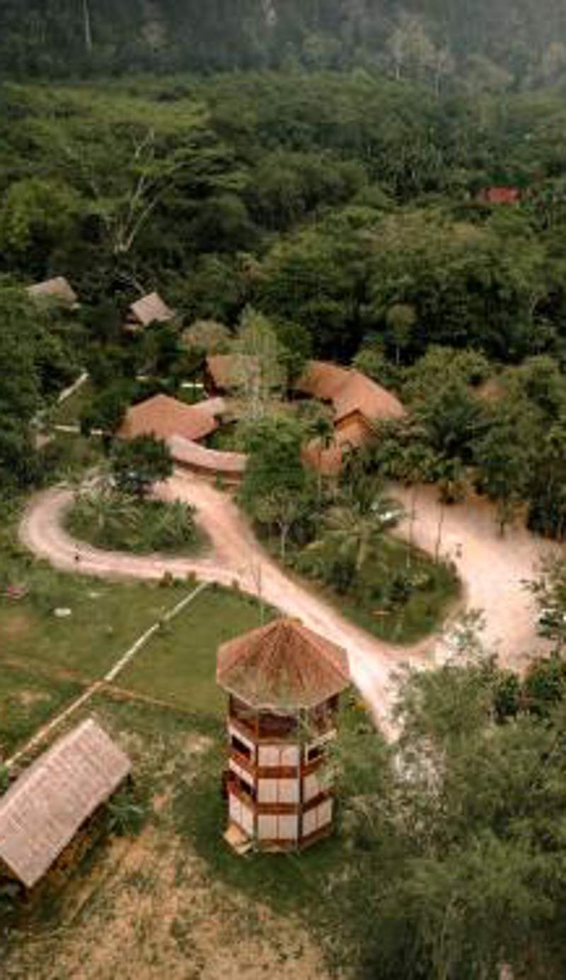 Our Jungle Camp