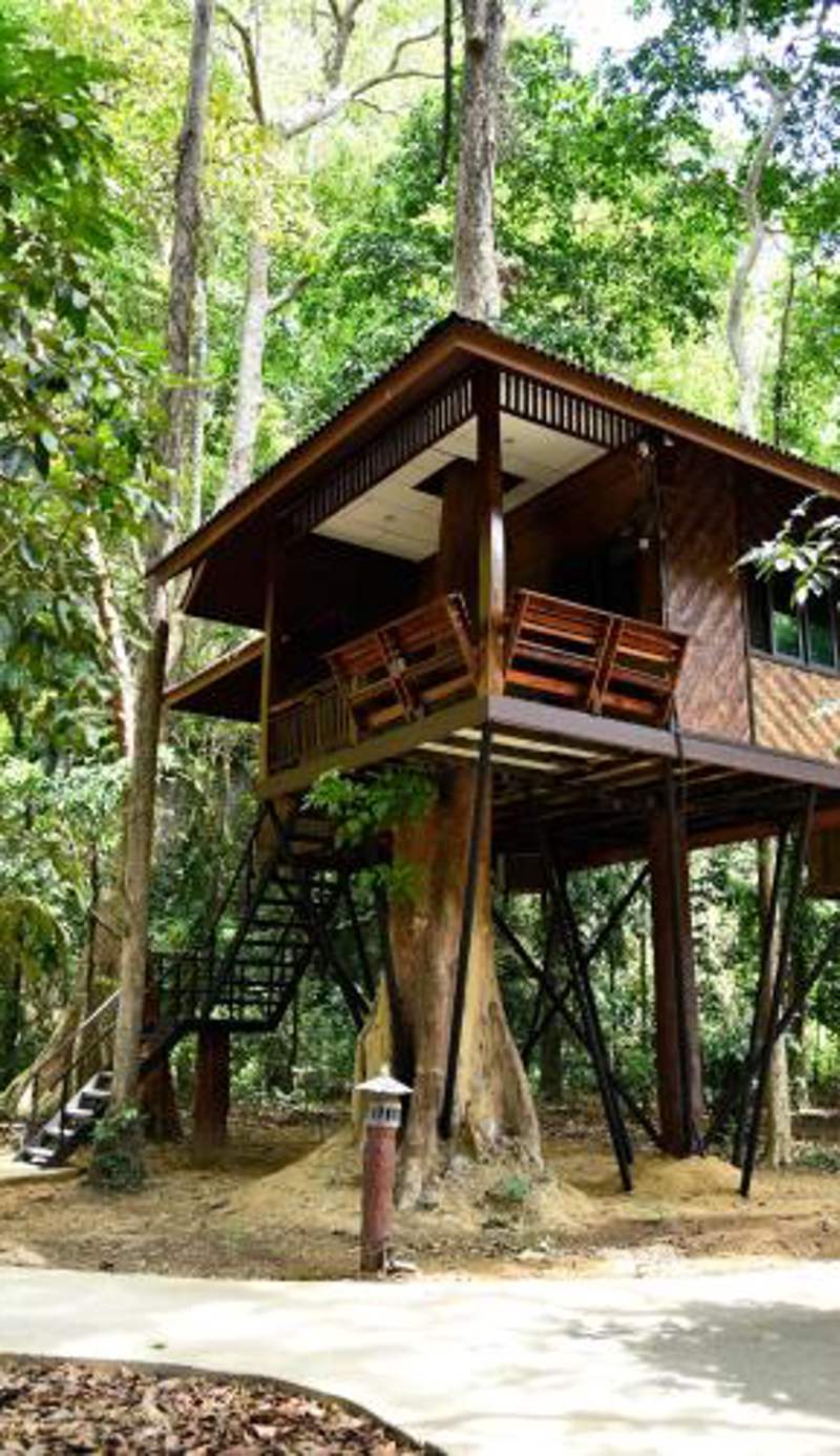 Khao Sok Nature Resort