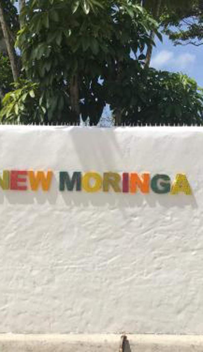 NEW MORINGA
